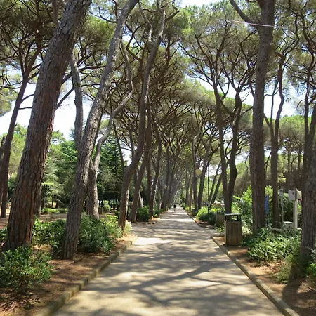 By Interhome Castiglioncello